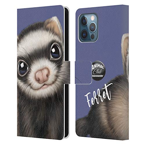 Ferret