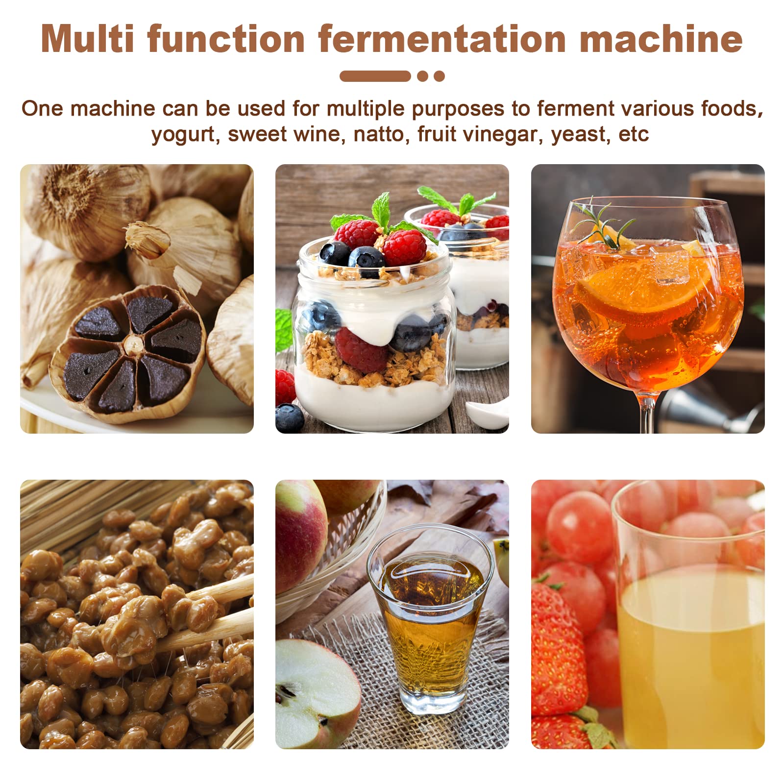 Automatic Black Garlic Fermenter 6L - Smart Fermentation Box for Black Garlic, Sweet Rice Wine, Natto & Yogurt (110V) - 7-Day Fast Fermentation - Perfect for Home Kitchens & DIY Fermented Foods