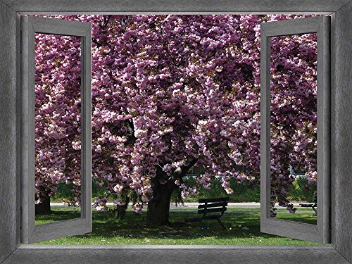 Cherry Blossom Tree in a Park