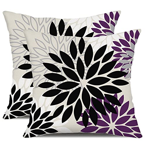 Black Purple