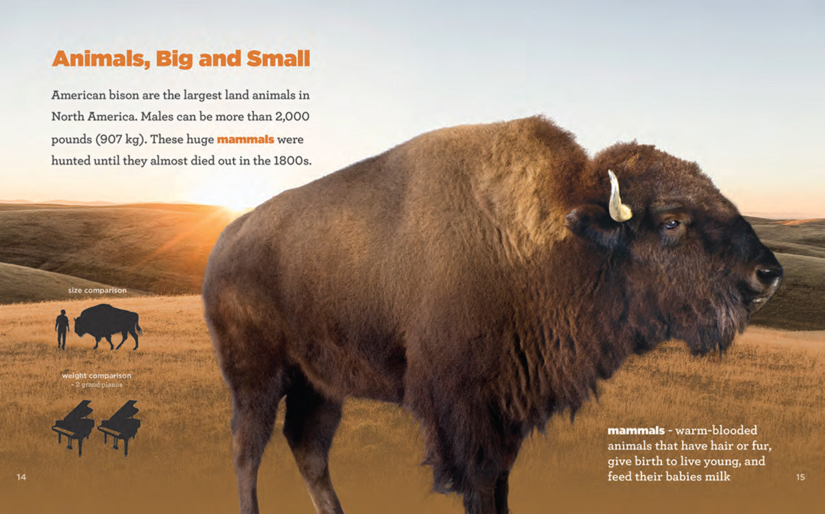 Prairie Life: A Novel - ISBN 9781640260634 | Perfect for Book Clubs & Nature Lovers
