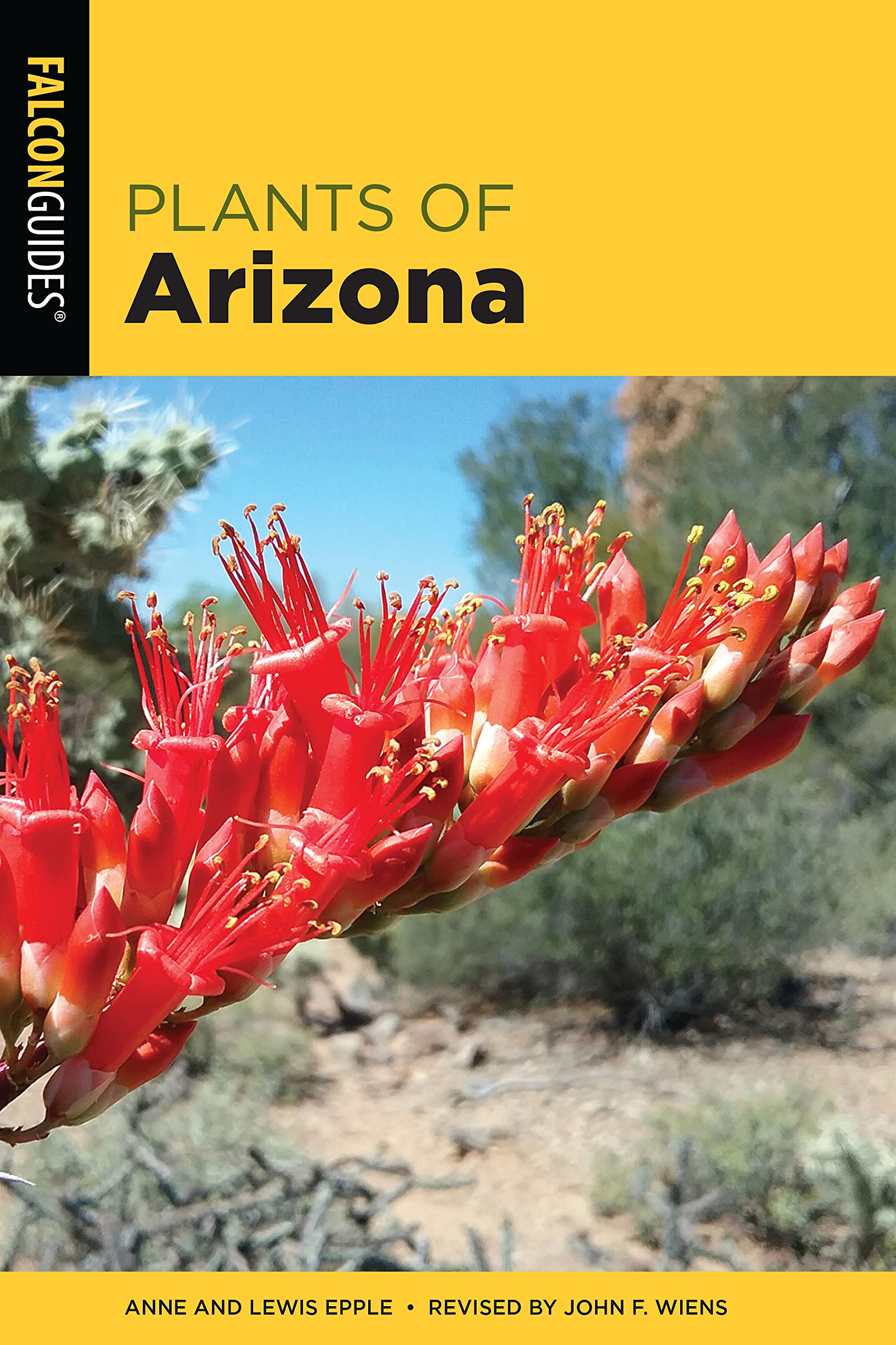 Arizona Plants Field Guide: Identify Native Flora & Desert Species - Perfect for Hiking, Gardening & Nature Enthusiasts