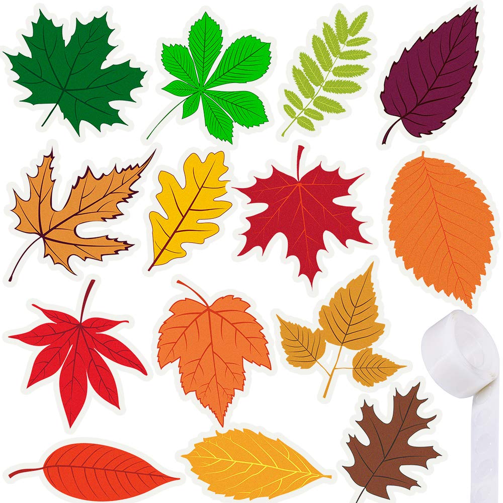 Supla 70 Pcs Fall Leaf Cutouts - Autumn Thanksgiving Decorations with Maple, Oak, Ash, Elm, Birch & Chestnut Leaves - Perfect for Classroom Bulletin Boards, Wall Tree Decor & Seasonal Crafts