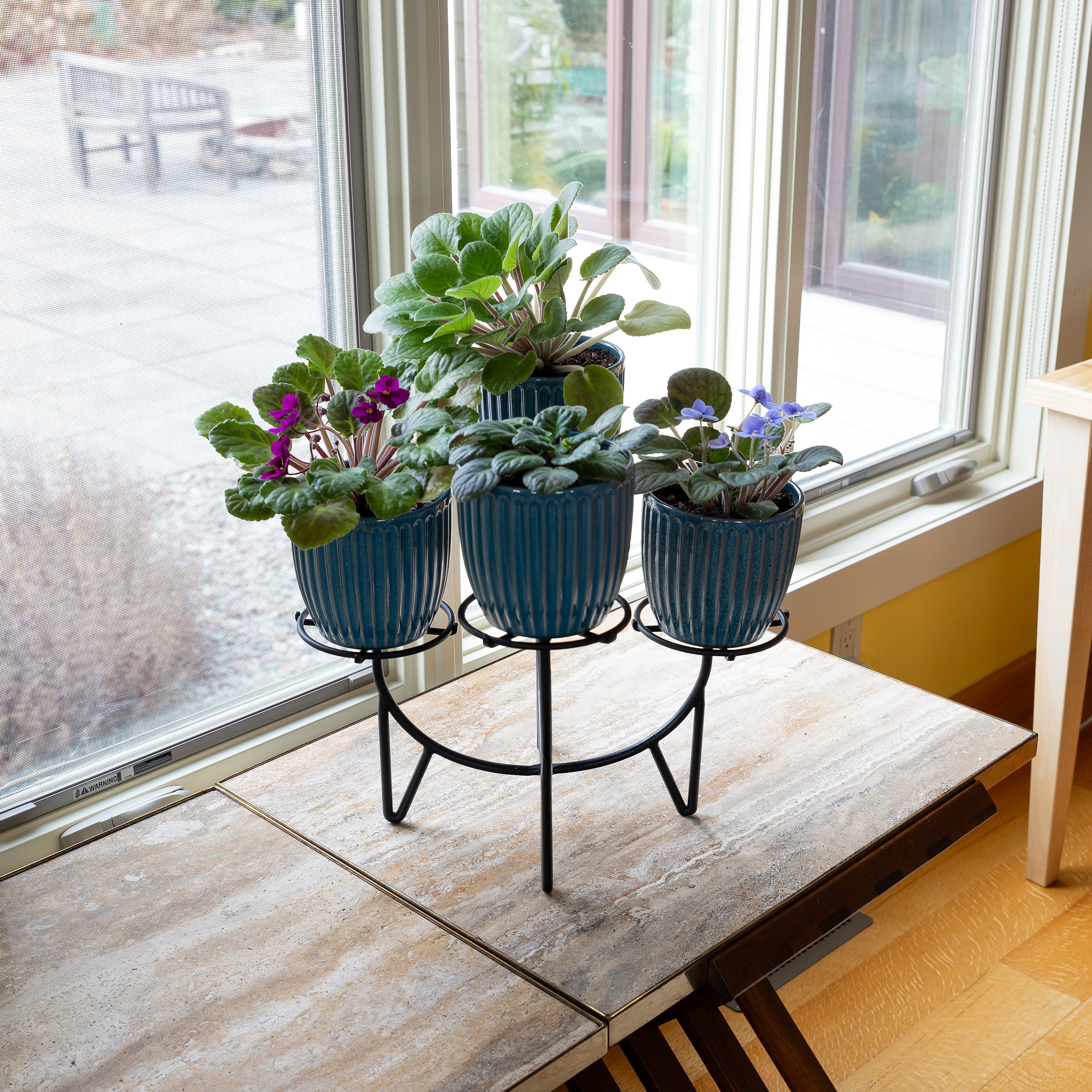 Achla Designs Frida Plant Stand - Modern Indoor & Outdoor Flower Pot Holder for Home Decor, Garden, Patio, and Balcony