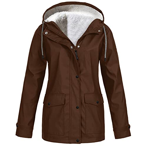 02 Brown