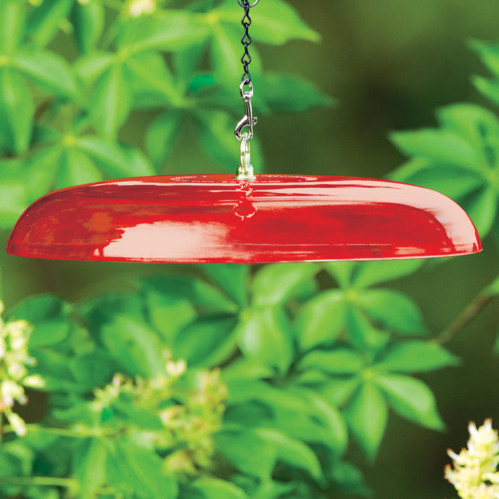 Duncraft Tilt Top Squirrel Baffle - Red Squirrel Proof Bird Feeder Guard | Made in USA | Perfect for Protecting Bird Feeders in Backyards & Gardens