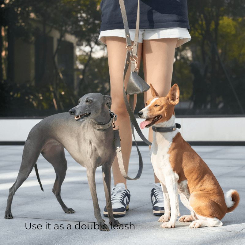 Hands-Free Dog Leash for Walking & Running - Adjustable Waist Belt with Reflective Stitching - Perfect for Jogging, Hiking & Outdoor Activities