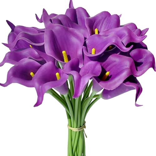 Grape Purple