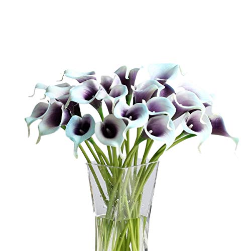 Purple in Blue