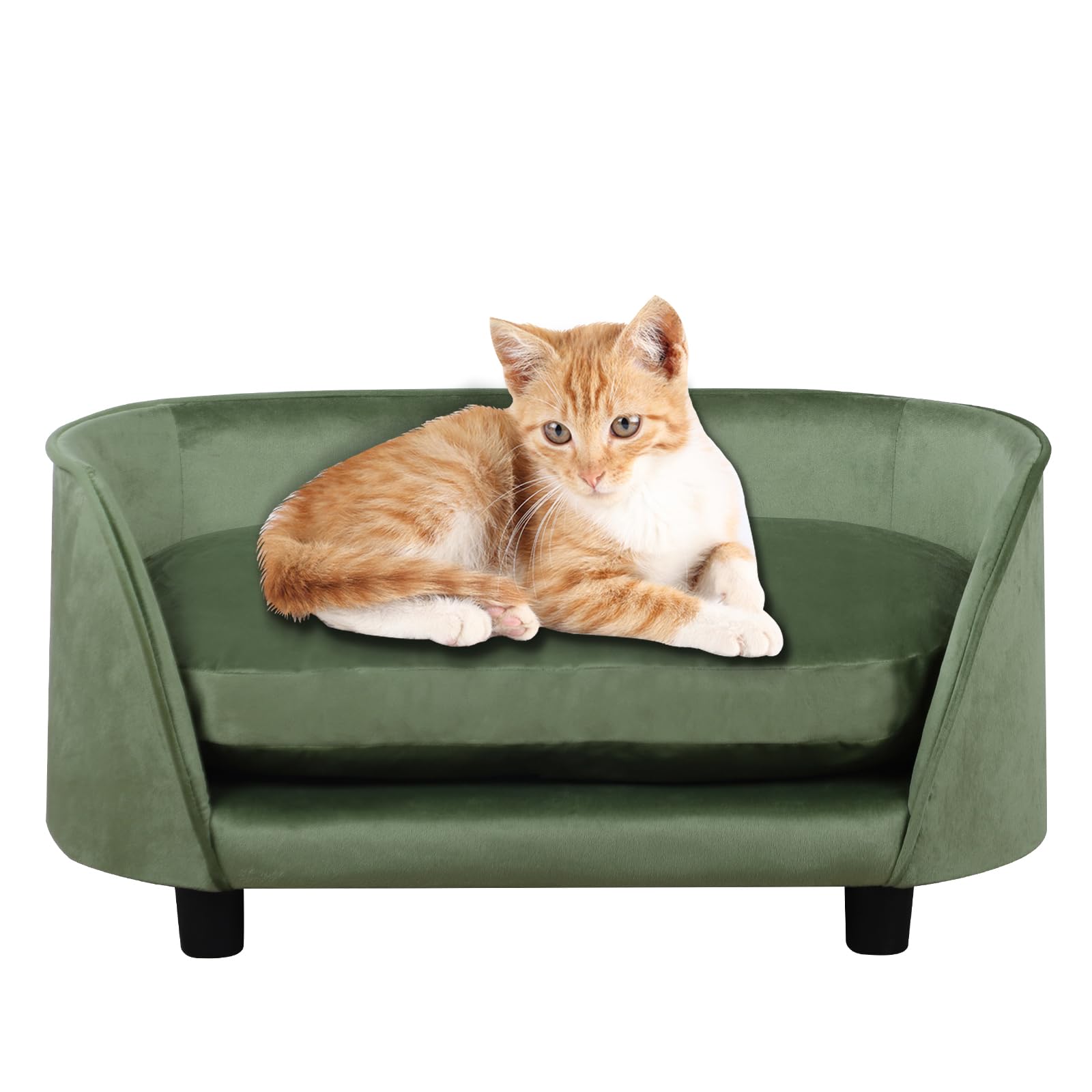 Premium Pet Sofa Bed for Small Dogs & Cats - Wooden Frame Velvet Washable Cushion - Cozy Dog Couch & Cat Bed for Living Room, Bedroom & Office (Green)