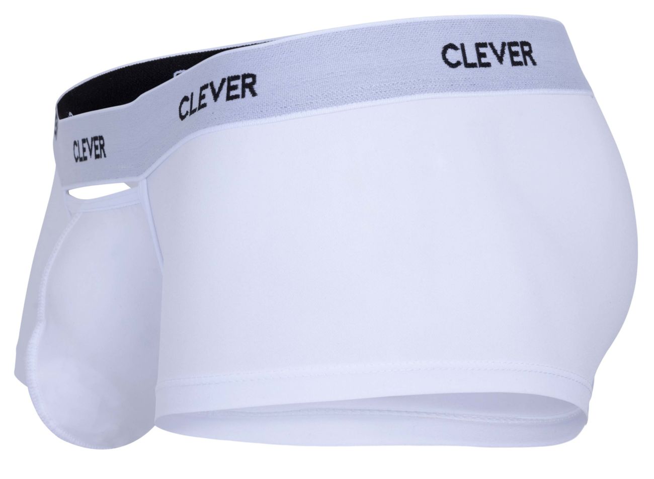 Luxury Clever Trunk 1677 - Premium Travel Storage & Stylish Home Decor for Suitcases, Blankets & Seasonal Items