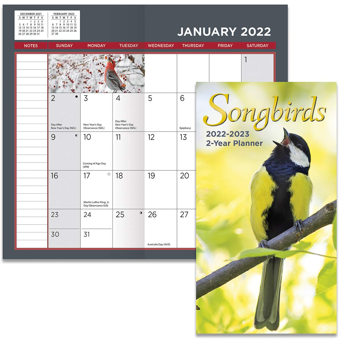 Turner Photographic Songbirds 2 Year Planner 2024-2025 - Beautiful Bird Photography Calendar Organizer - Perfect for Office, Home, or Gift Giving