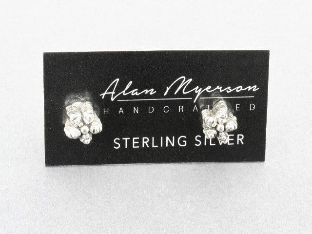 Sterling Silver Cactus Stud Earrings for Women - Trendy Boho Jewelry for Everyday Wear & Gift Giving