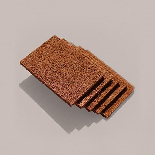 Organic B Coconut Scrub Pads 10-Pack - Natural Antibacterial & Biodegradable Dish Scrubbers for Pots, Pans & Kitchen Utensils | Eco-Friendly Kitchen Cleaning Pads for Stubborn Grease & Stains Removal | Perfect for Daily Dishwashing, Sink Cleaning & Cookware Maintenance
