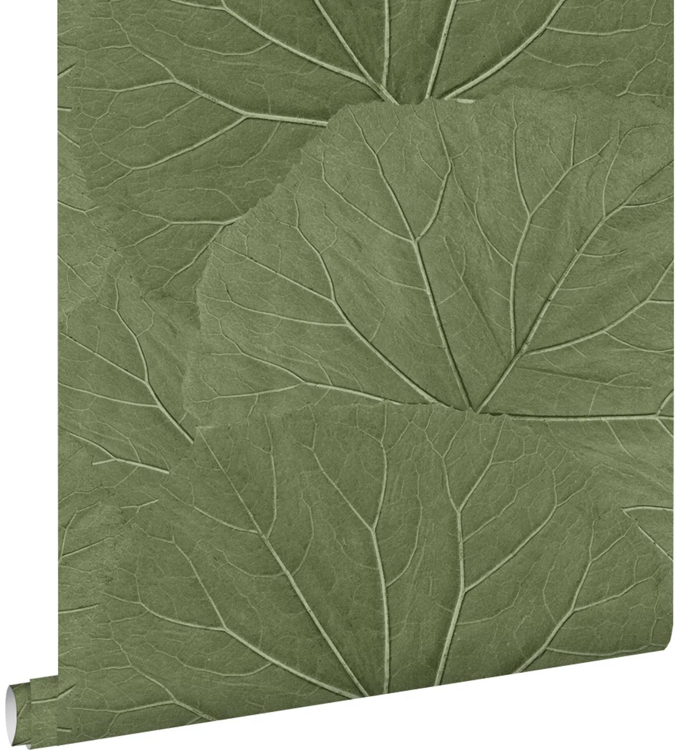 Jungle Fever Lush Harmony - Exotic Tropical Home Decor for Boho & Jungle Theme Rooms | Perfect for Living Room, Bedroom, or Office Decor