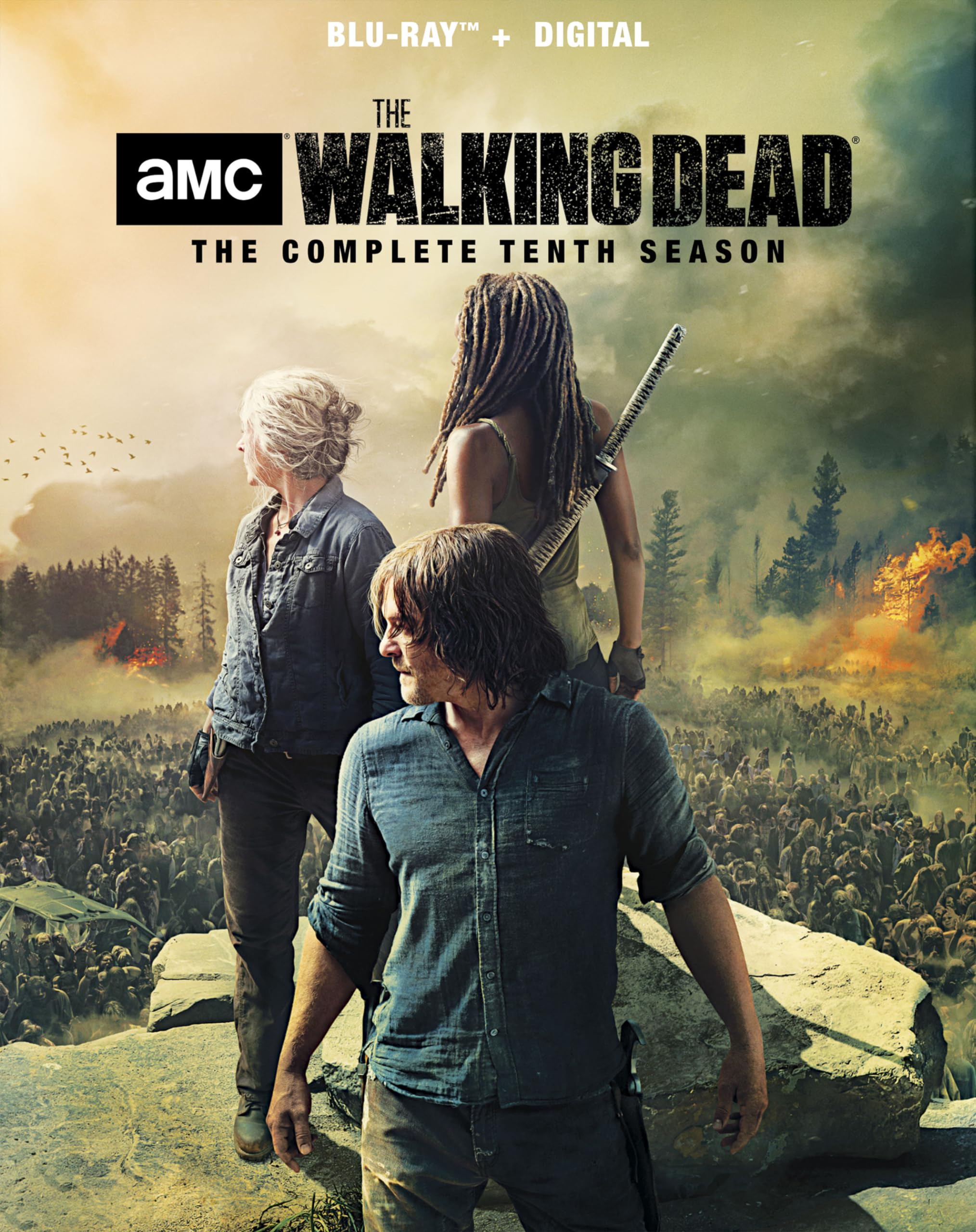 The Walking Dead: Season 10 DVD Box Set - Complete TV Series Collection with Bonus Features | Perfect for Horror Fans & Zombie Apocalypse Enthusiasts | Great for Movie Nights, Gifts & Collectors