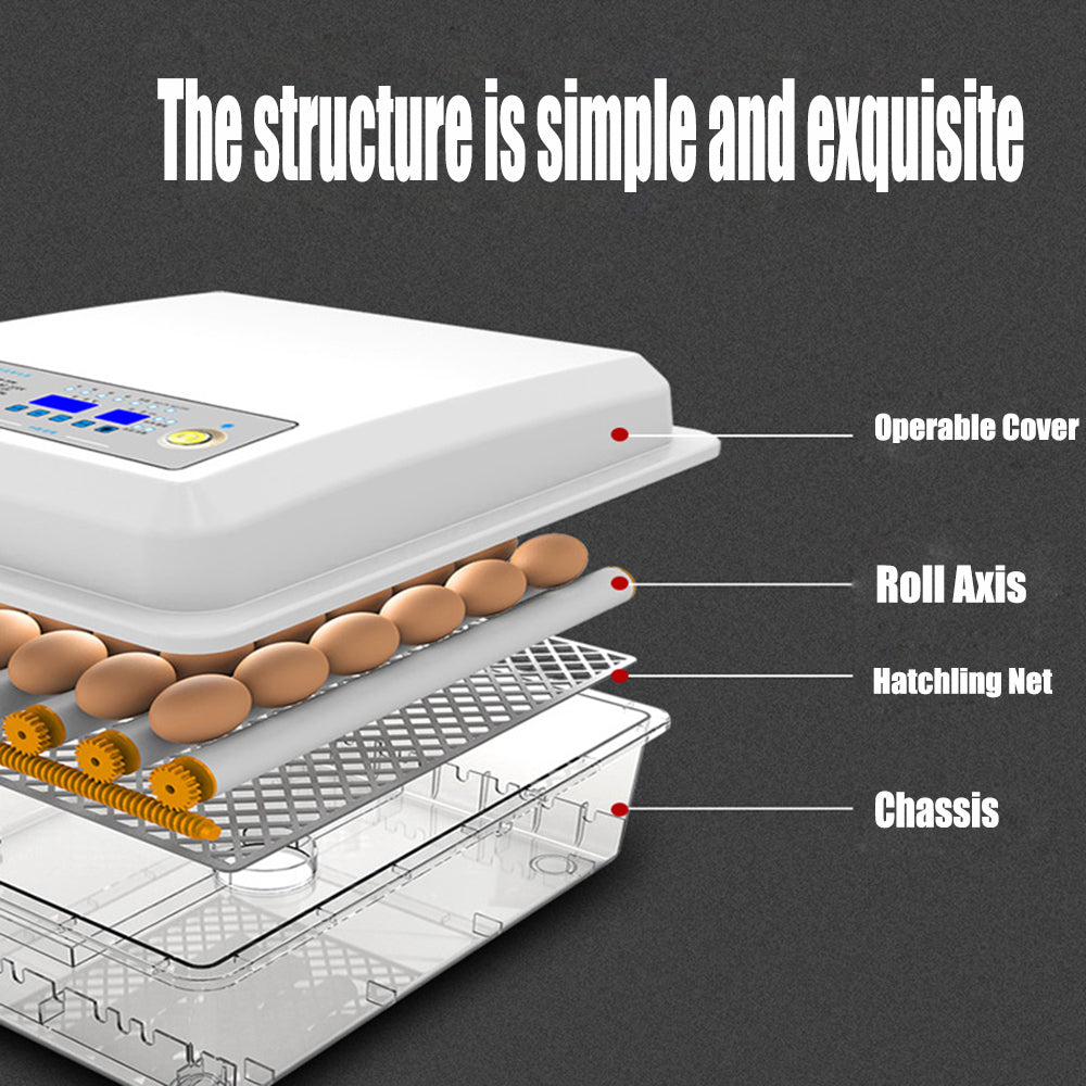 16 Egg Fully Automatic Digital Incubator with Thermostat - Poultry Chicken Egg Hatcher for Home, Farm, and Classroom Use