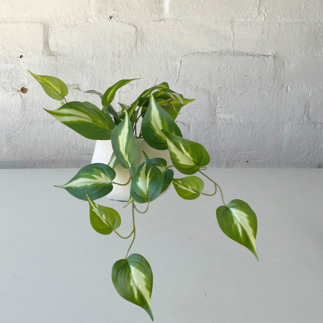Artificial Pothos Queen Silk Plant - Small Faux Hanging Vine for Home & Office Decor - Perfect for Shelves, Bathrooms, and Indoor Spaces