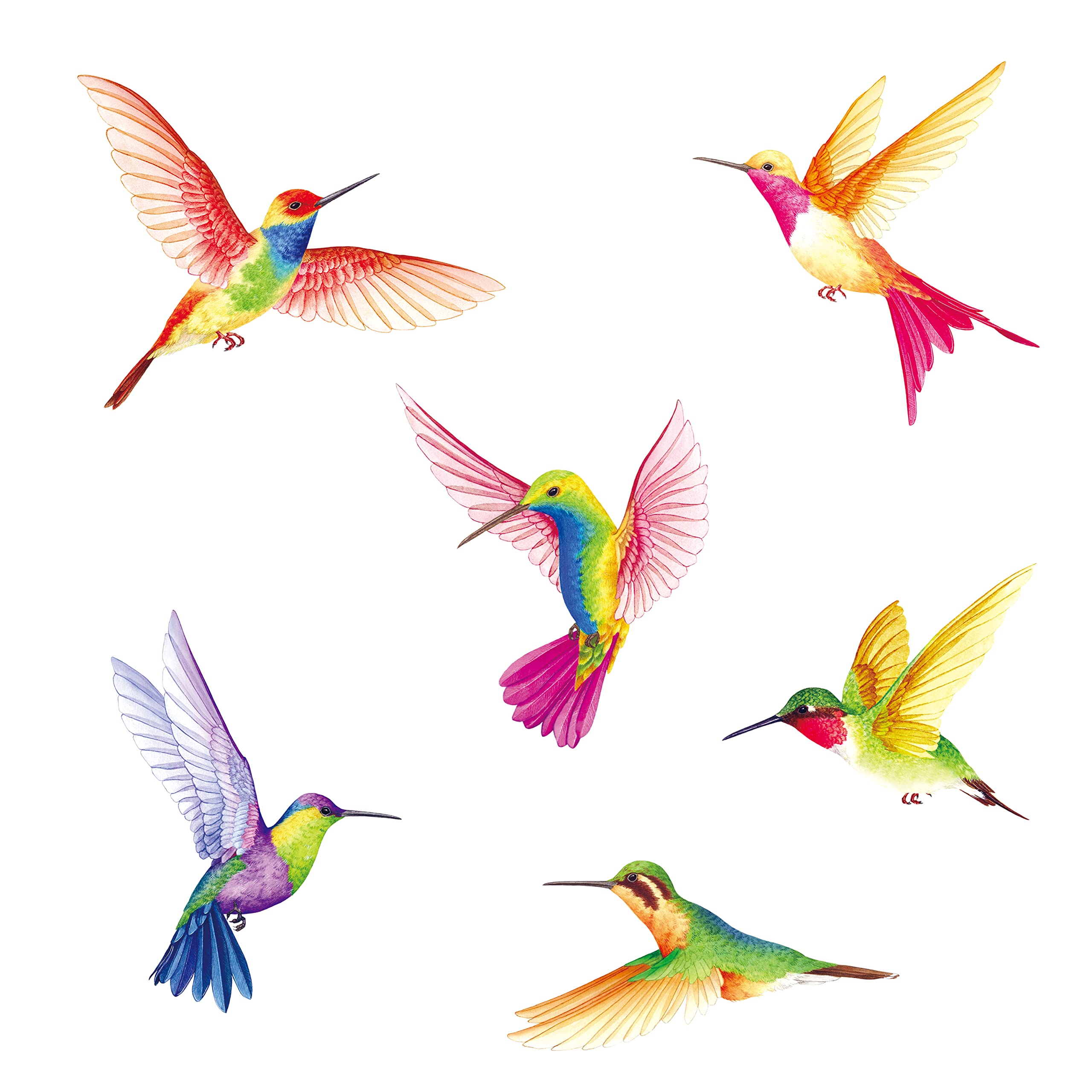 BASHOM DS2-4002 Hummingbird Wall Decals - Removable Peel & Stick Vinyl Wall Art for Nursery, Bedroom, Living Room Decor - Spring Flying Bird Mural Stickers for Kids Room & Home Decoration (Perfect for Birthday Parties, Baby Showers & Seasonal Home Decor)