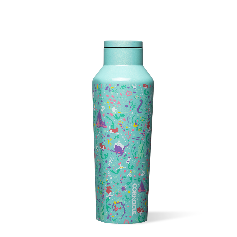 Disney Princess Water Bottle - Insulated Stainless Steel Canteen for Kids with Straw & Handle - BPA Free Leak Proof Sports Bottle for School, Gym & Outdoor Activities