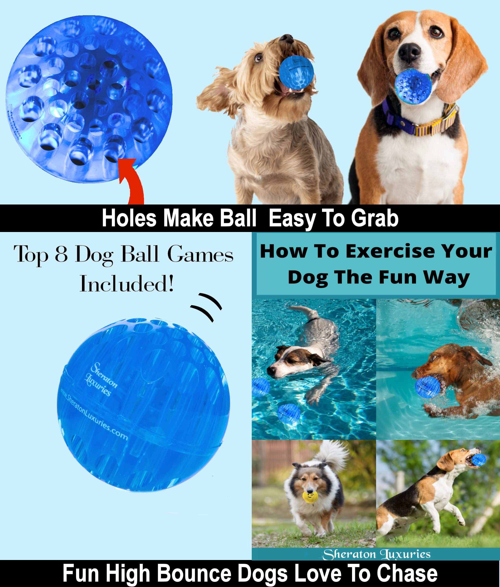 Durable Non-Toxic Rubber Dog Toys - 2.5