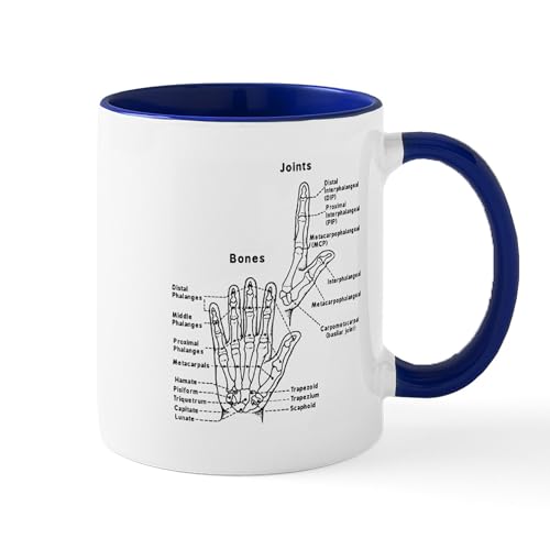 White/Navy Inside - Hand Anatomy Mugs