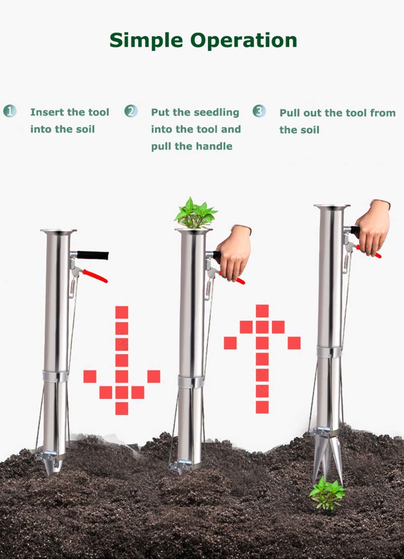 Stainless Steel Seedling Transplanting Bulb Planter Tool with Long Handle - Manual Vegetable & Young Plant Transplanter for Garden, Greenhouse - Perfect for Planting Flowers, Vegetables, and Seedlings in Raised Beds or Containers