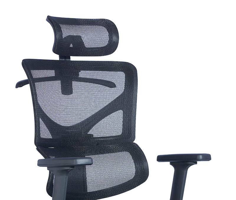 Premium BIRGER Executive Office Chair with Adjustable Headrest - Ergonomic High Back Desk Chair for Home & Office - Black Leather Mesh Computer Task Chair for Long Hours Sitting Comfort