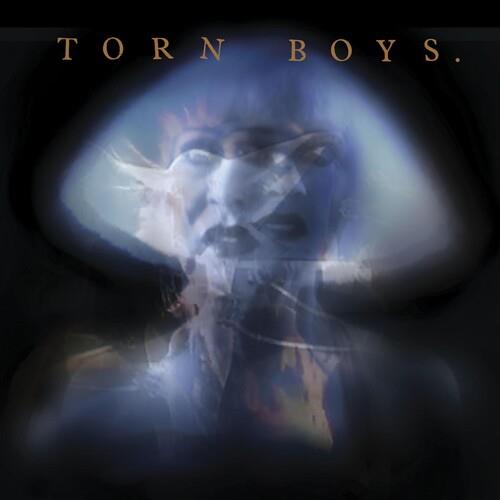 Torn Boys 1983 Vinyl LP Record - Classic Punk Rock Album for Music Collectors & Vinyl Enthusiasts - Perfect for Home Listening & Gifts
