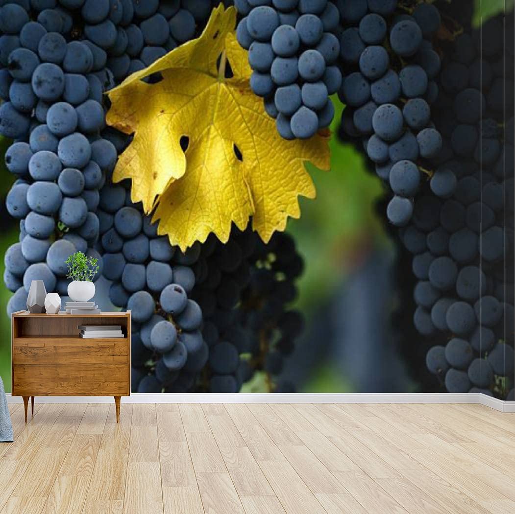 Self-Adhesive Peel & Stick Wallpaper - Cabernet Sauvignon Grapes in Napa Valley with Autumn Leaf | Wall Mural, Wall Decal, Wall Sticker for Living Room, Bedroom & Home Decor | Easy DIY Home Craft for Wine Lovers & Vineyard Theme