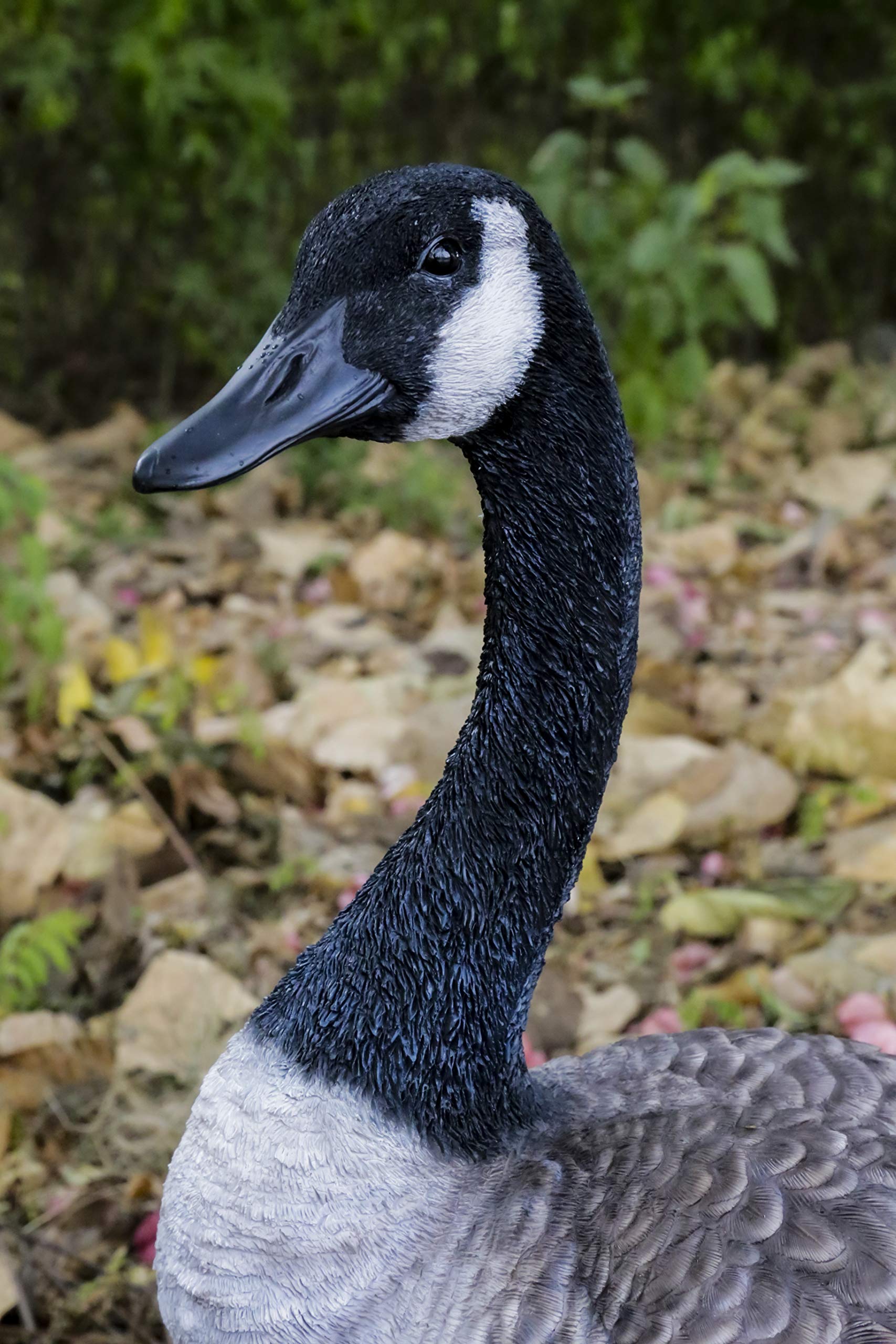 Hi-Line Gift Standing Canada Goose Statue - Grey/Natural Decorative Figurine for Home, Office & Garden Decor