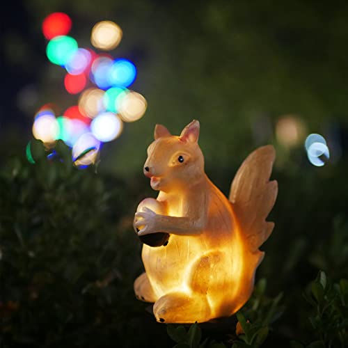 Squirrel