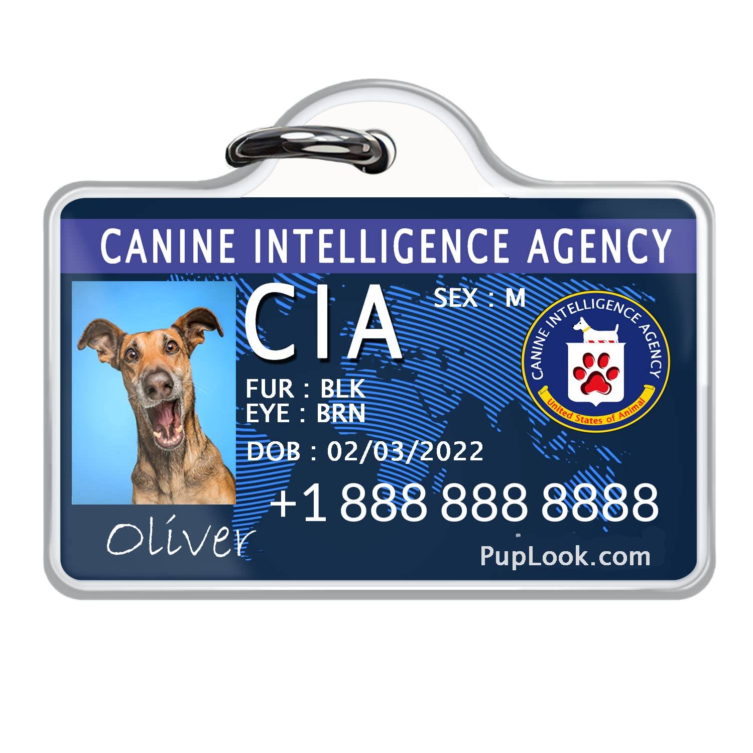Custom Engraved Silicone Dog Tags - Personalized Pet ID Tags, Waterproof & Lightweight, Silent & Durable - Perfect for Daily Walks, Travel & Pet Safety | Canine Intelligence Agency