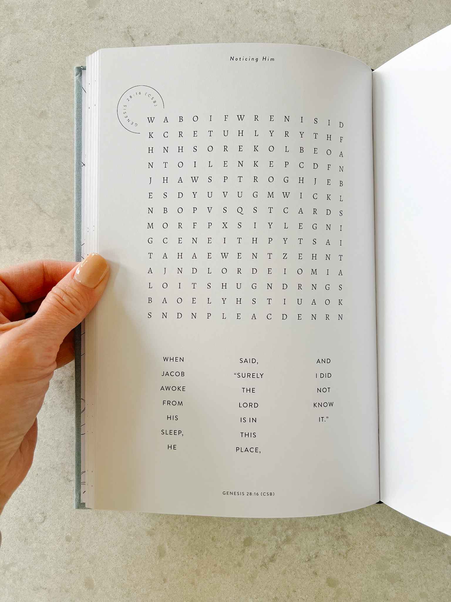 The Wordsearch Book: Presence - Fun & Challenging Word Search Puzzles for Adults & Kids - Perfect for Travel, Gifts & Relaxation