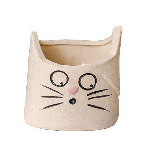 Cat 5