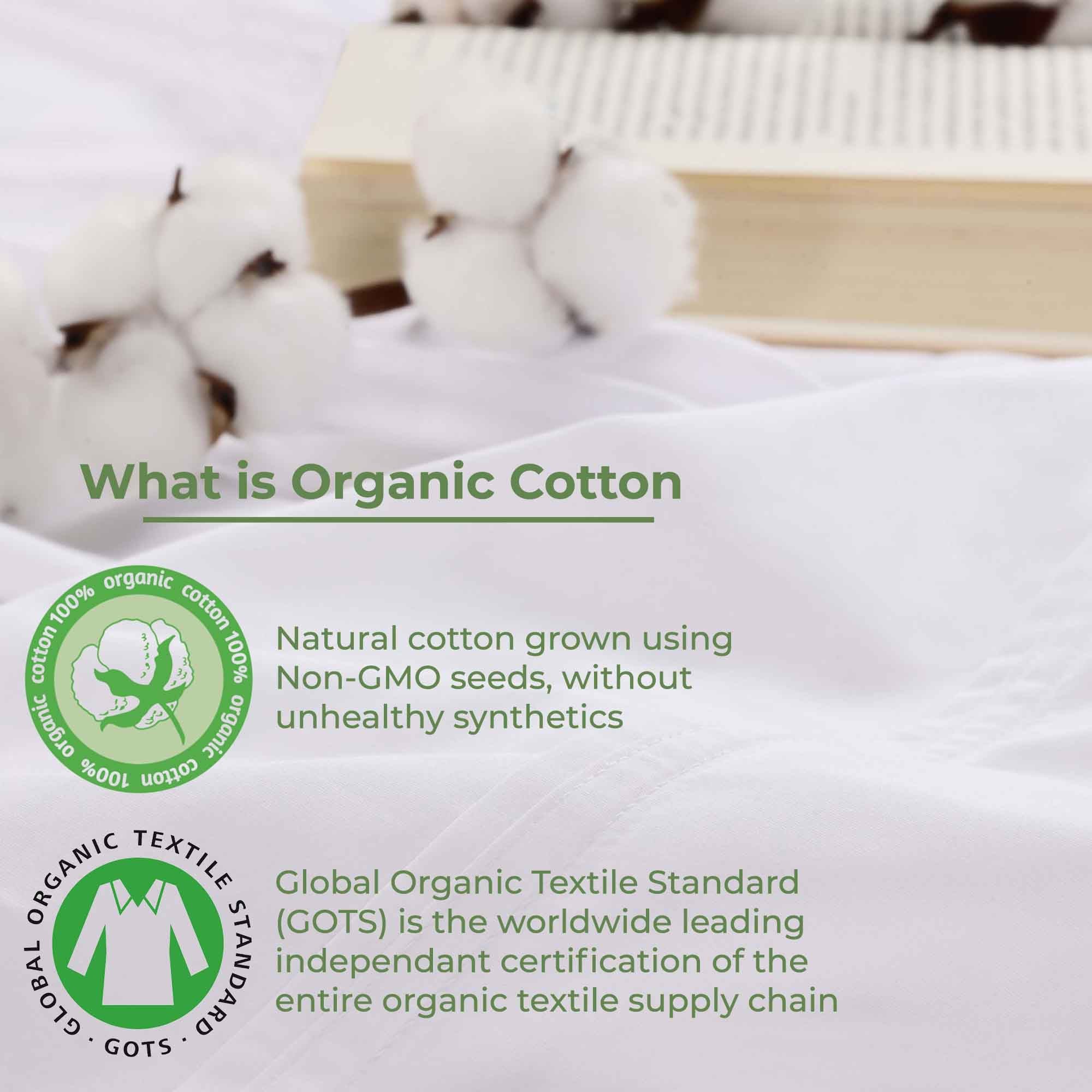 Gina Organic Cotton 300 Thread Count Percale Deep Pocket Bed Sheet Set - Queen Size, Breathable & Hypoallergenic for Comfortable Sleep - Perfect for Master Bedroom, Guest Room & Dorm Essentials
