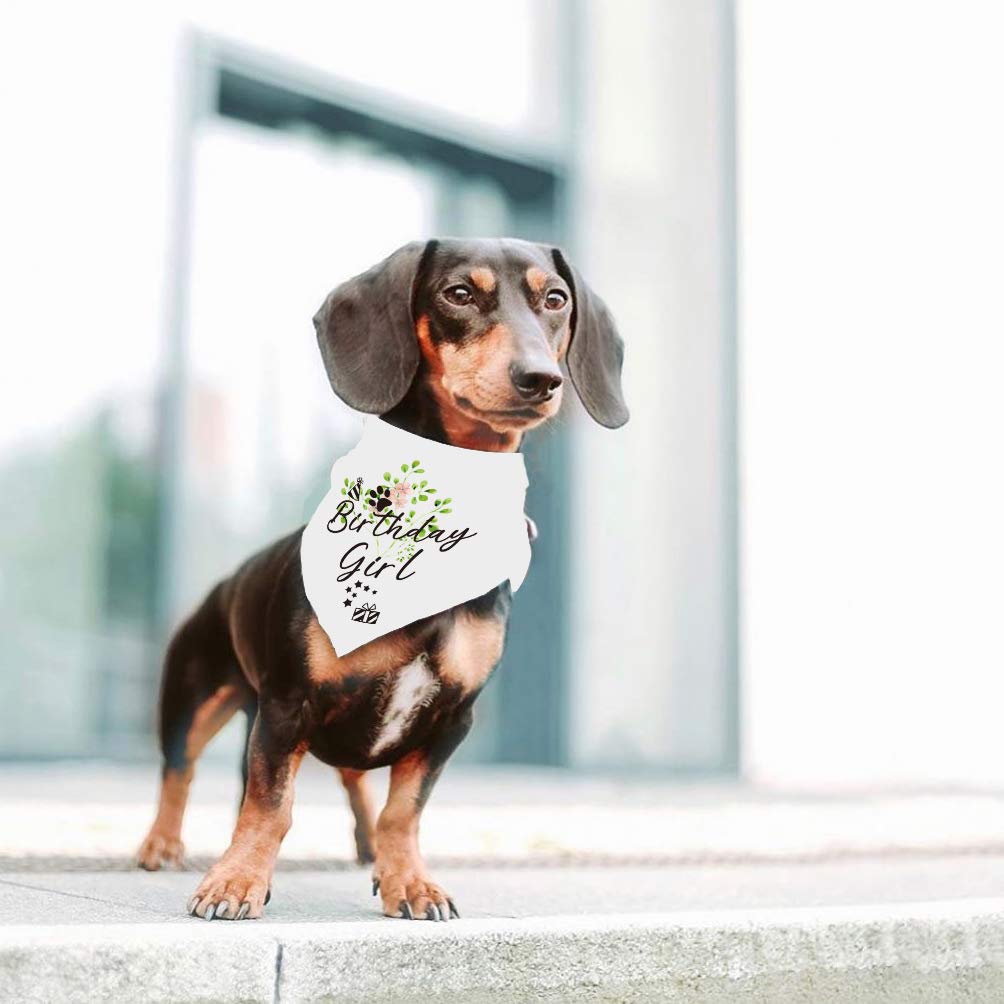 Cute Dog Birthday Bandana Scarf - Adjustable Pet Bandana for Small Medium Large Dogs - Perfect for Birthday Parties, Photo Shoots & Special Occasions