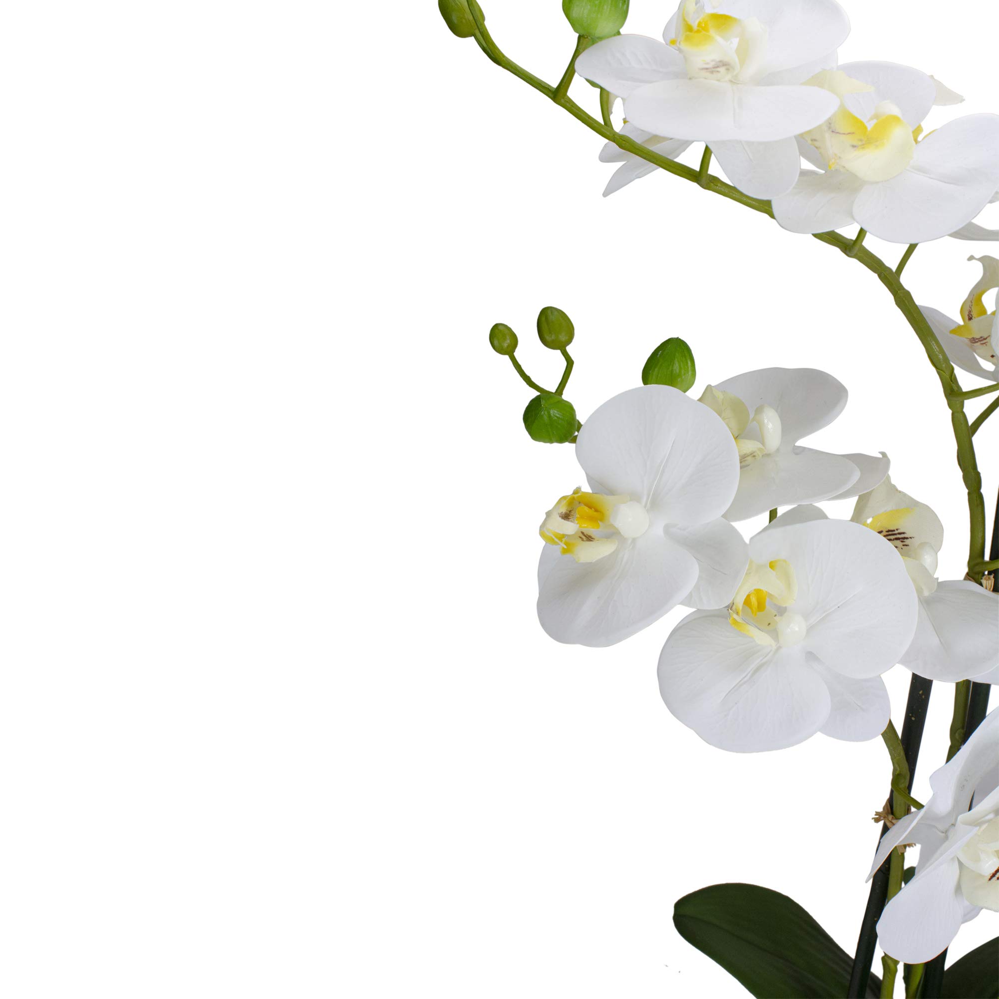 Premium Real Touch™ Artificial Orchid Plant in White Oval Pot - 22