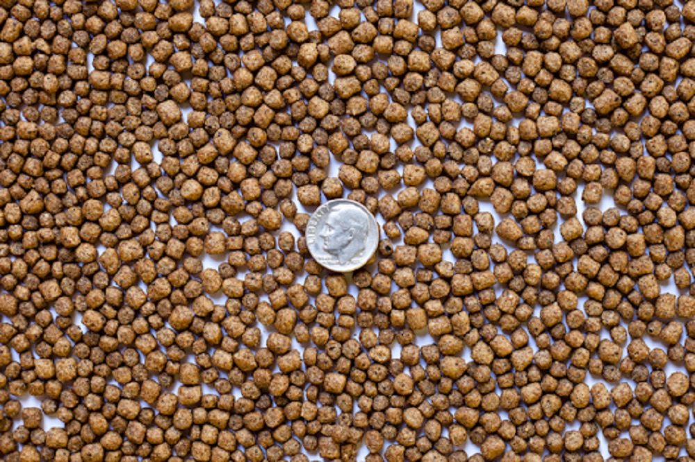 America's Best Premium Koi Food - 20 lbs High Protein (36%) Pond Pellets for Medium to Large Koi & Freshwater Fish | Ideal for Outdoor Ponds & Water Gardens