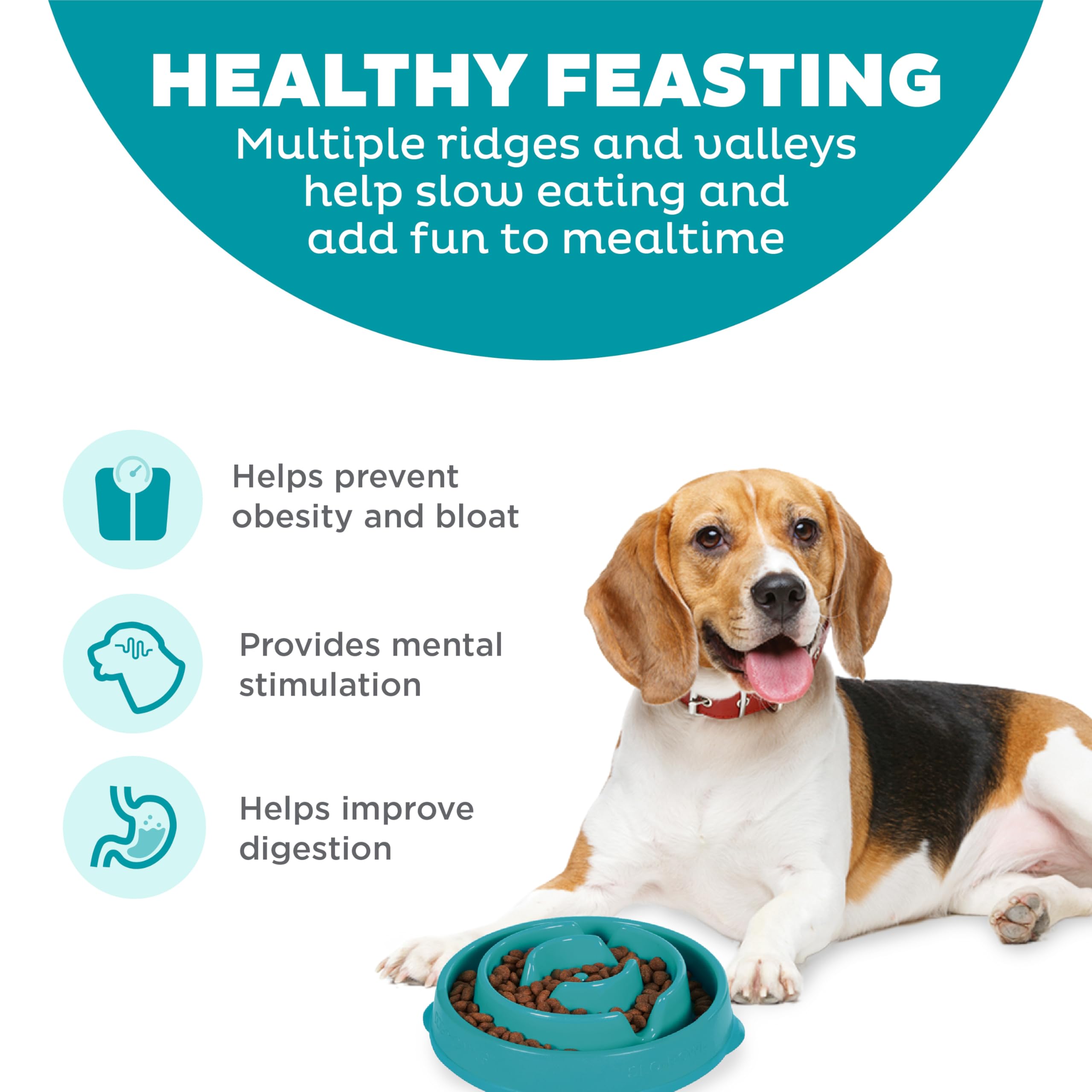 Outward Hound Fun Feeder Slo Bowl - Slow Feeder Dog Bowl for Medium & Small Dogs, Turquoise - Prevent Fast Eating & Bloat for Pets - Perfect for Mealtime & Training