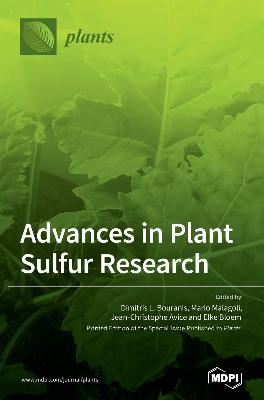 Advances in Plant Sulfur Research: Latest Discoveries & Applications in Agriculture, Botany, and Environmental Science | Perfect for Researchers, Students, and Plant Science Professionals
