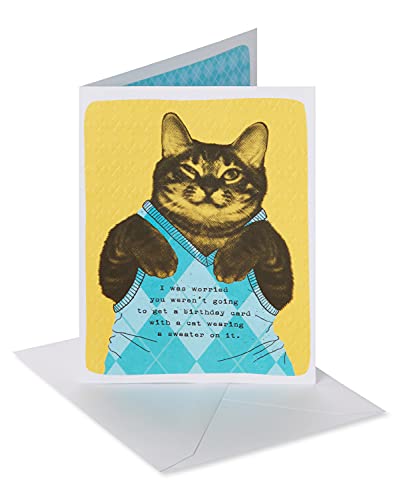 Cat Wearing Argyle Sweater