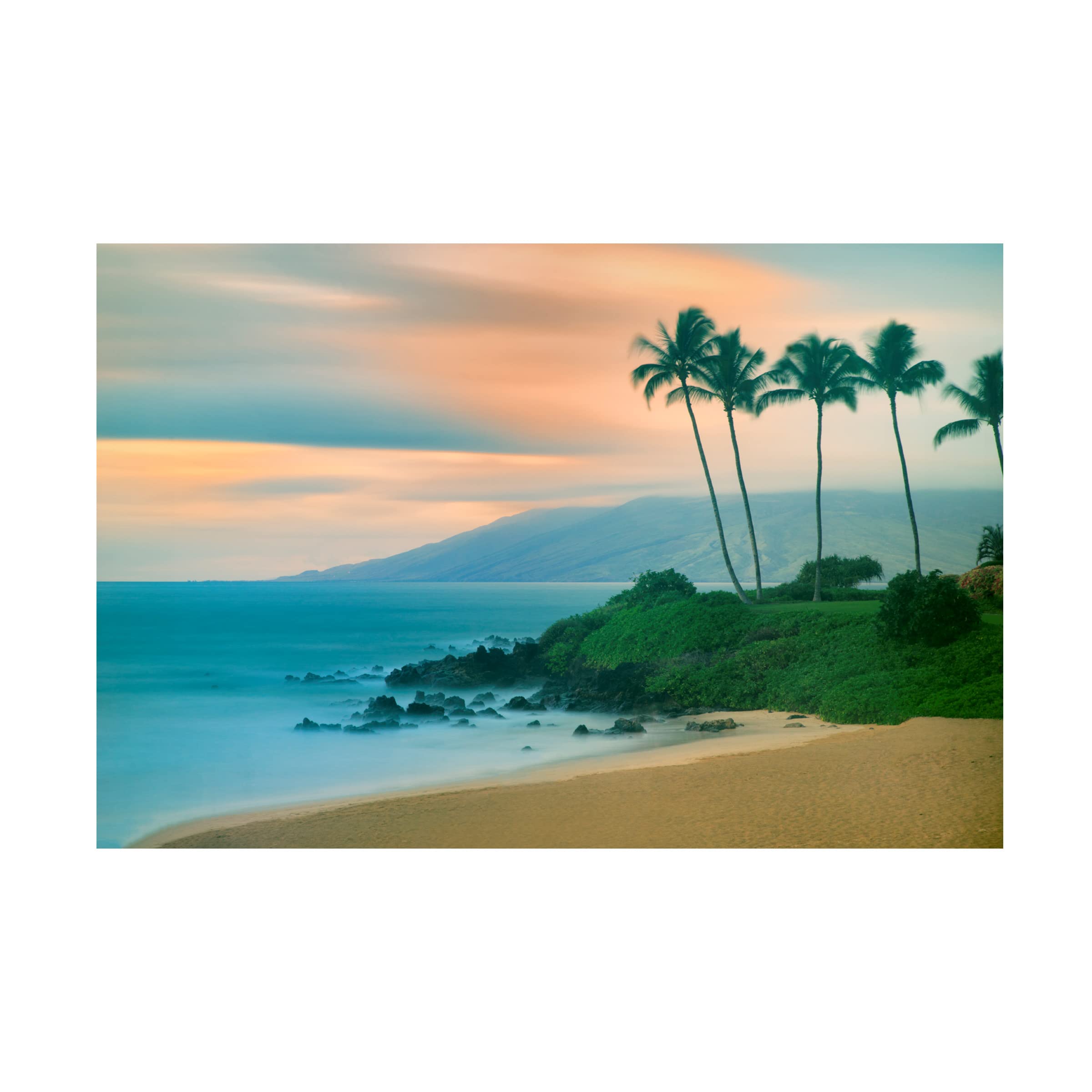 Dennis Frates 'Palms 16' Canvas Wall Art Print - Tropical Beach Landscape Painting for Living Room, Bedroom & Office Decor