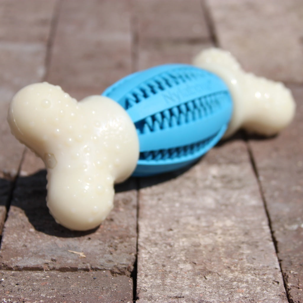Dental Double Action Chew Toy for Dogs - Durable Pet Teeth Cleaning Chews for Puppies & Adult Dogs - Promotes Oral Health & Reduces Plaque - Perfect for Aggressive Chewers & Playtime