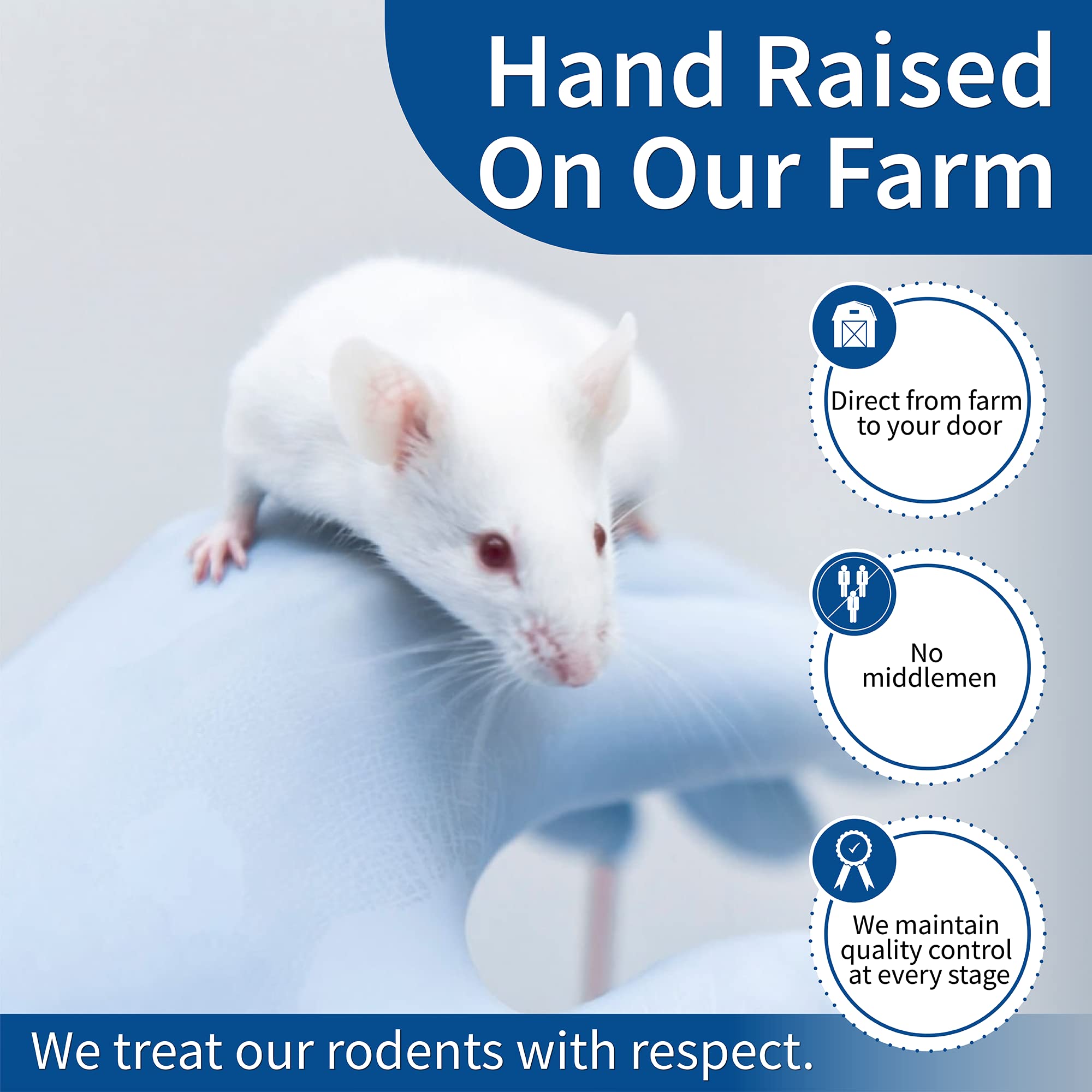 Frozen Large Feeder Mice for Snakes - 40oz (5 Count) | Premium Reptile Food for Burmese Pythons, Monitors & Birds of Prey | Ideal for Feeding Large Reptiles & Raptors