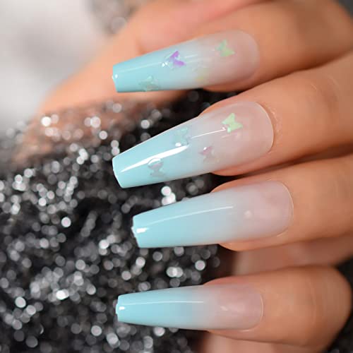 Ombre blue butterfly