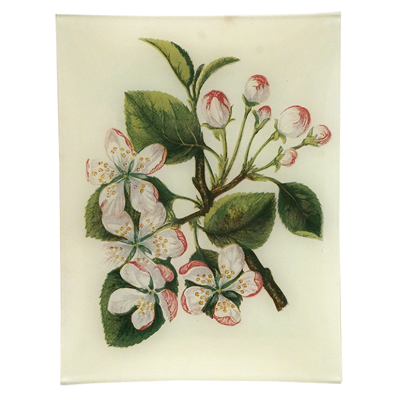 2024 Crab Apple PNG - High-Quality Digital Image Download for Fall Decor, Invitations, and Seasonal Designs