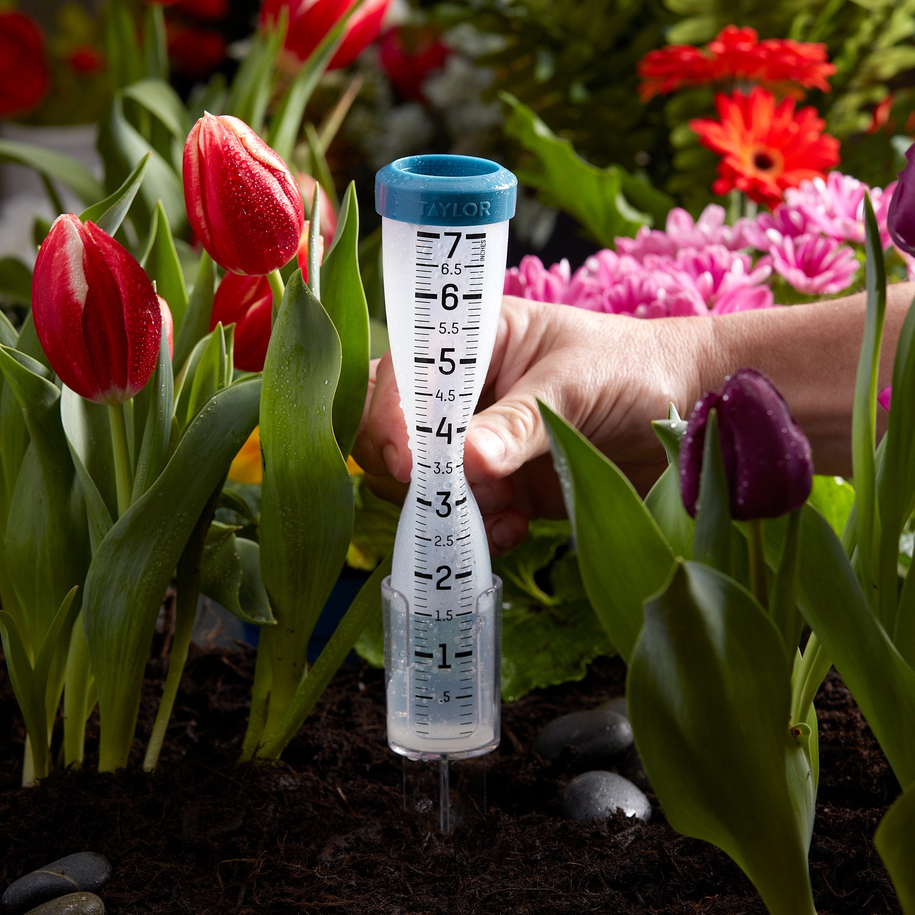 Accurate 7-Inch Silicone Rain Gauge for Outdoor Weather Measurement - Perfect for Garden, Lawn, and Backyard Use