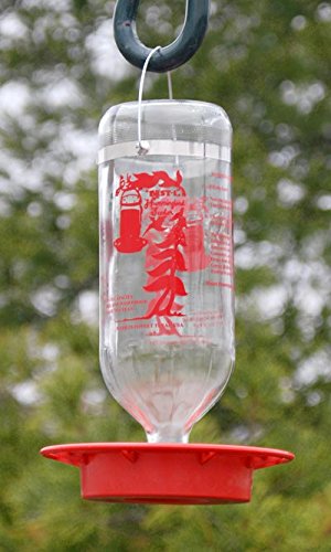 Premium Glass Hummingbird Feeders - 32oz Capacity (12 Pack) - Attract Hummingbirds to Your Garden, Patio or Backyard - Ideal for Outdoor Decoration & Bird Watching