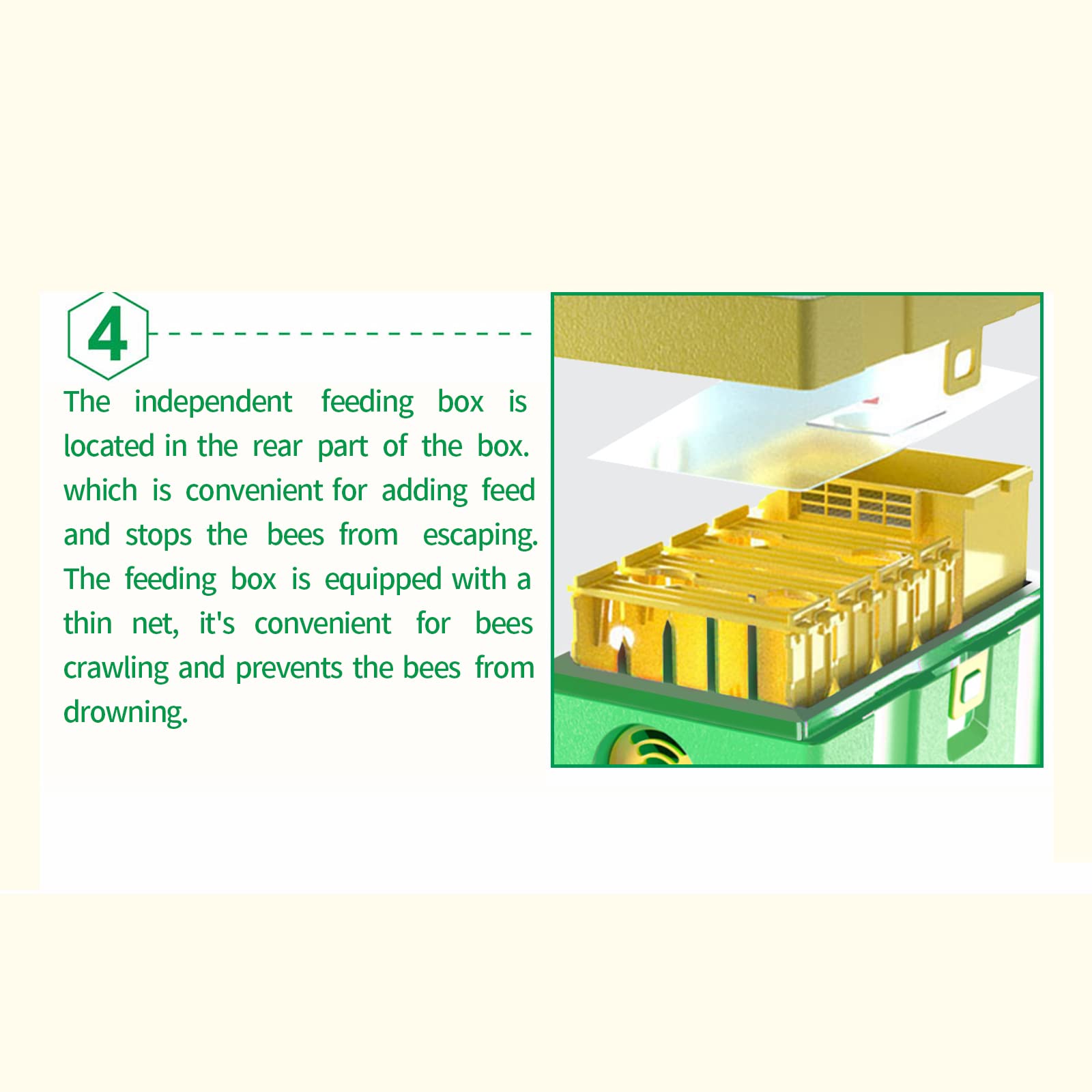 Queen Bee Mating Nuc Hive Box - Mini Beehive for Queen Rearing & Beekeeping (Green) | Perfect for Backyard Beekeepers & Apiary Enthusiasts